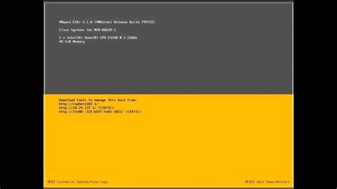 esex server|Download the ESXi Installer